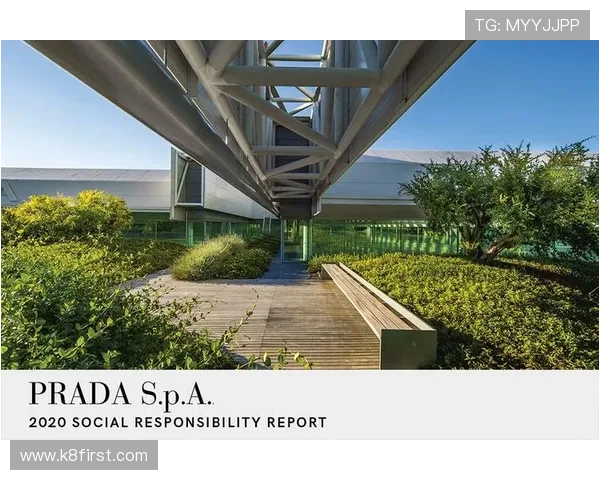 凯发集团如何通过社会责任推动企业可持续发展