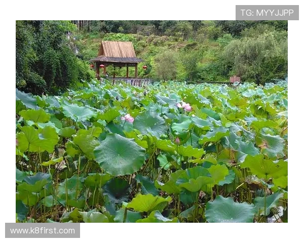 凯发九游娱乐手机娱乐致力于打造绿色健康的游戏环境促进良好的娱乐生态发展